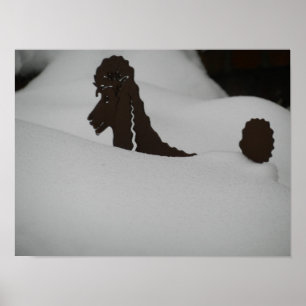 Gefühl begraben? Poodle im Schnee Poster
