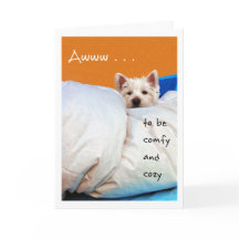 Gefühl besser, gemütlicher und bequemer Westie