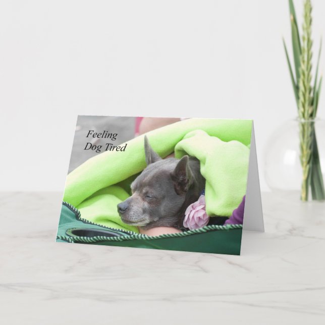 Gefühl Dog Tired (Chihuahua) - Kunstkarte Karte (Vorderseite)