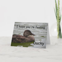 Gefühl Ducky
