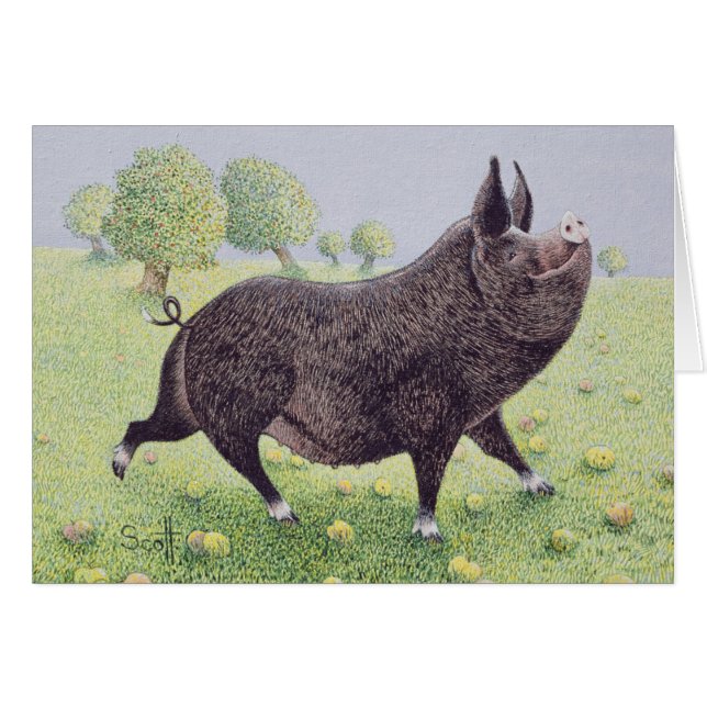 Gefühl groß (Vorderseite (Horizontal))