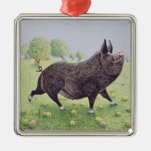 Gefühl groß silbernes ornament