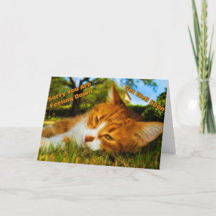 Gefühl in Kitty Karte