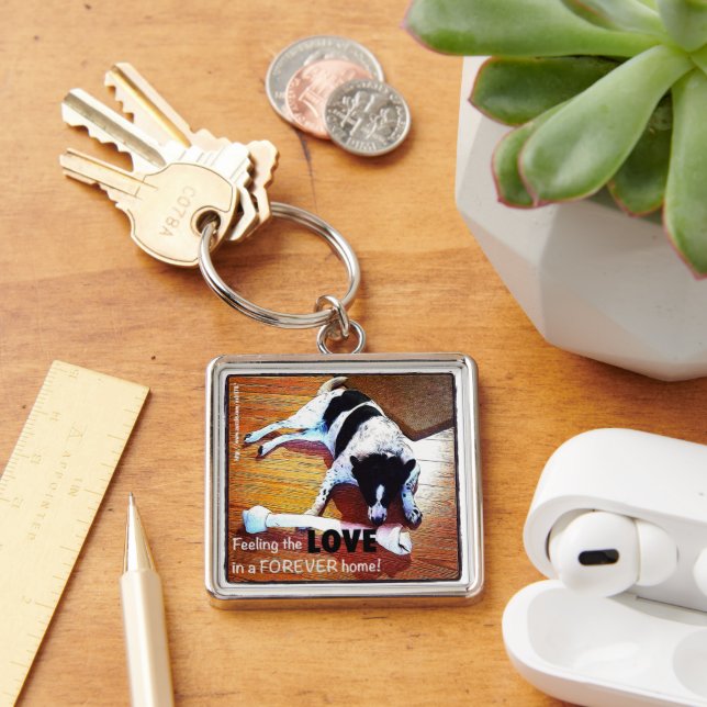 Gefühl Liebe Border Collie Schlüsselanhänger (Schreibtisch)