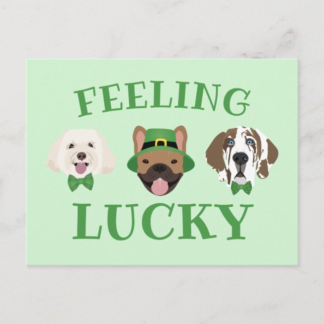 Gefühl Lucky St Patricks Day Dog Faces Postkarte (Vorderseite)