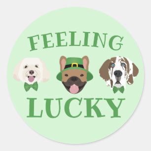 Gefühl Lucky St Patricks Day Dog Faces Runder Aufkleber