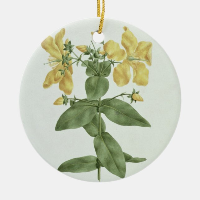 Gefühl-Reichweite (Hypericum quartinianum) (w/c Keramik Ornament (Vorne)