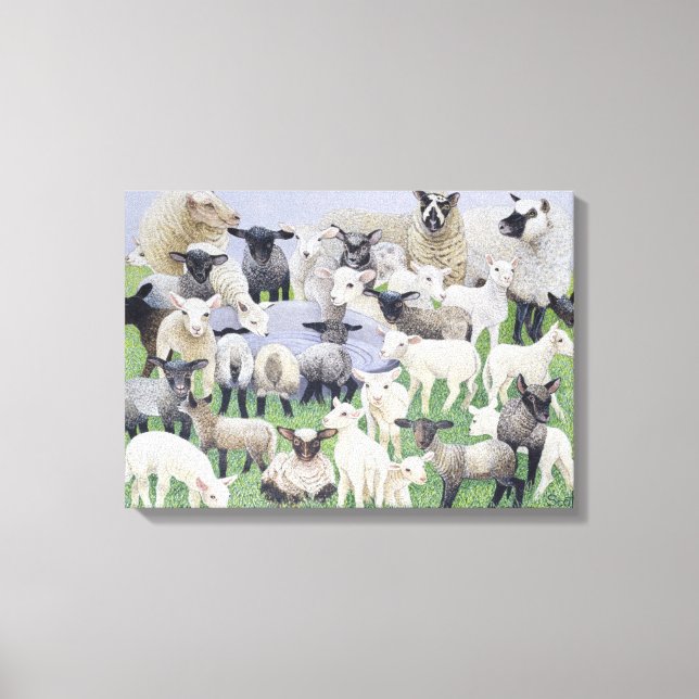Gefühl Sheepish Leinwanddruck (Vorderseite)