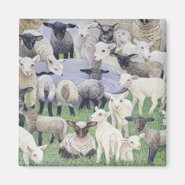 Gefühl Sheepish Magnet (Vorne)