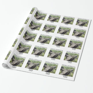 Gefühls-Sedimental innerer Kalkstein-Geologie-Spaß Geschenkpapier