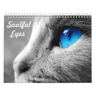 Gefühlvolle Augen der Katze Kalender
