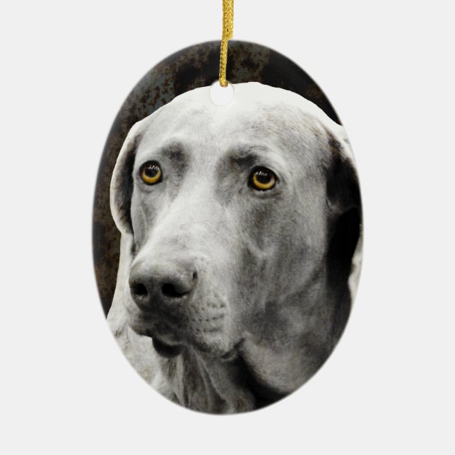 Gefühlvolle Augen des Weimaraner Keramikornament (Vorne)