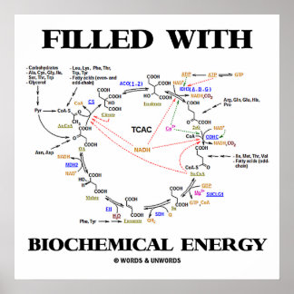 gefüllt mit biochemischer Energie (Krebs-Zyklus) Poster