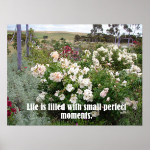 gefüllt mit perfektem Moments Garden Blume Poster