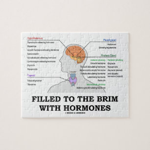 Gefüllt zum Rand mit Hormon-medizinischem Spaß Puzzle