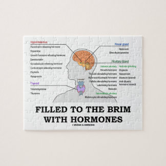 Gefüllt zum Rand mit Hormon-medizinischem Spaß Puzzle