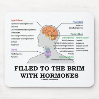 Gefüllt zum Rand mit Hormonen (Anatomie) Mousepad