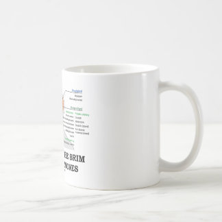 Gefüllt zum Rand mit Hormonen (Anatomie) Tasse