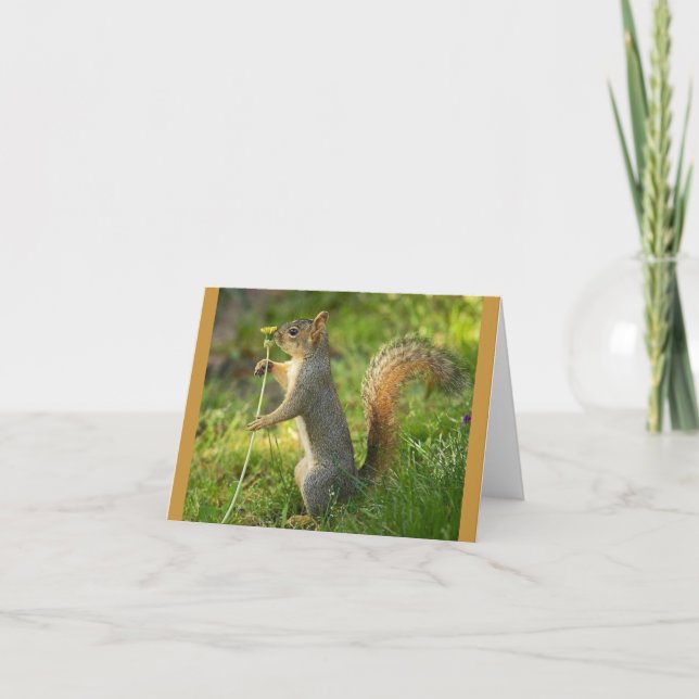 Gefundenes Eichhörnchen mit Löwenzahnbild Karte (Vorderseite)