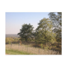 Gefundenes Hilltop 2004-Foto