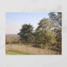 Gefundenes Hilltop 2004-Foto Postkarte