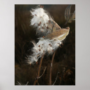 Gegangen mit dem Wind Poster