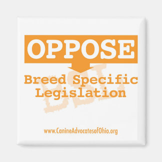 Gegen BSL Square Magnet