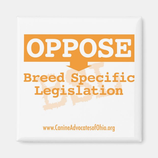 Gegen BSL Square Magnet (Vorne)