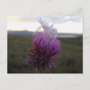 Gegen das Getreide Postkarte