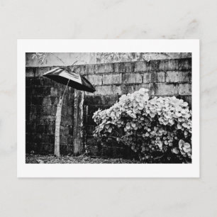 gegen den Regen Postkarte