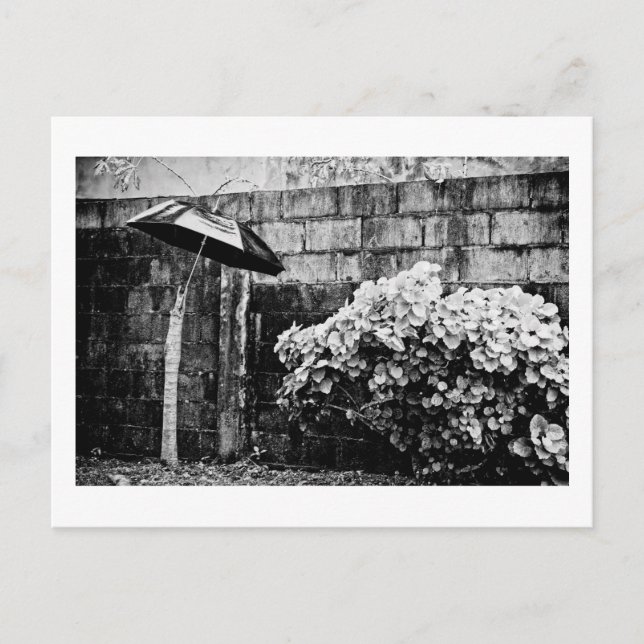 gegen den Regen Postkarte (Vorderseite)