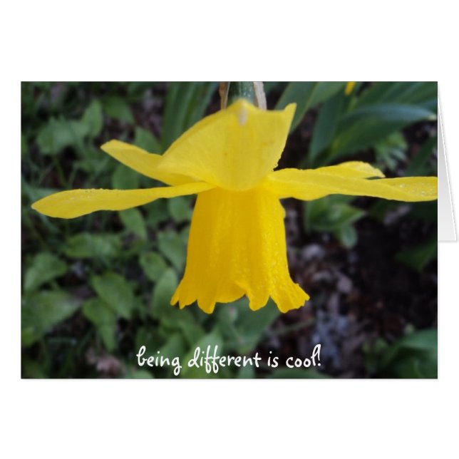 Gegen Getreide ist OK (Vorderseite (Horizontal))