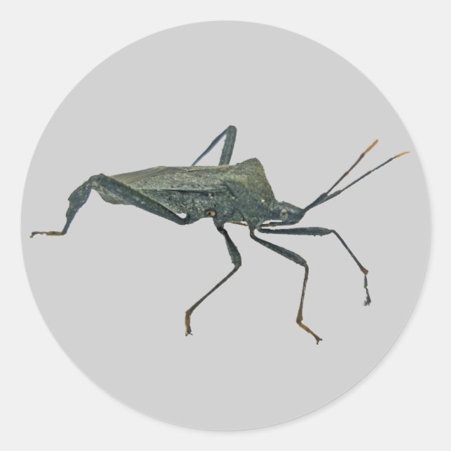 Gegenstände des erwachsenen schwarzen Assassin-Feh Runder Aufkleber (Vorderseite)