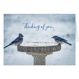 Gegenüber der Seite, die farbenfroh über Ihre Kart