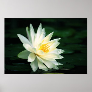 Gegenüberstellen des Sun Poster