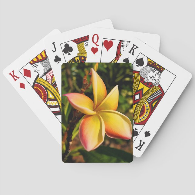 Gegenüberstellen des Sun Spielkarten (Rückseite)