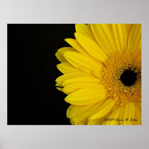 Gegenüberstellen von Simpleness Poster