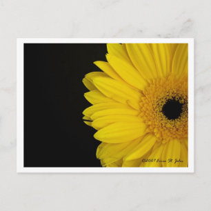 Gegenüberstellen von Simpleness Postkarte