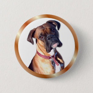 Geh nicht. button