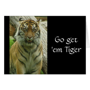 Geh und hol dir 'em Tiger