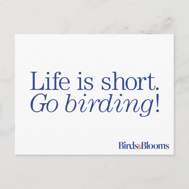 Geh Vogelbeobachtung! Postkarte (Vorderseite)