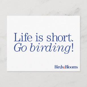 Geh Vogelbeobachtung! Postkarte