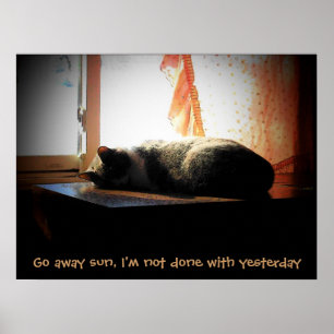 Geh weg Sonne - schlafende Katze Poster