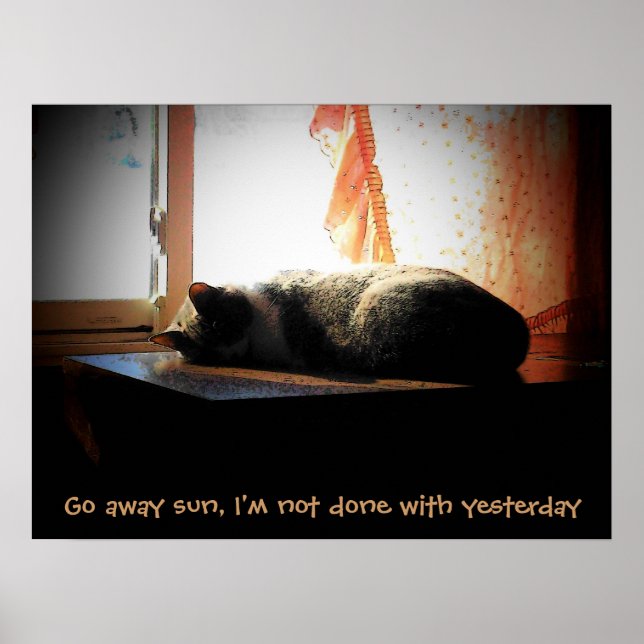 Geh weg Sonne - schlafende Katze Poster (Vorne)