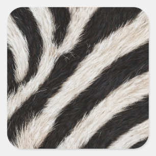 Geh wild Zebra Streifen Schwarz Weiß Faux Fell Opt Quadratischer Aufkleber