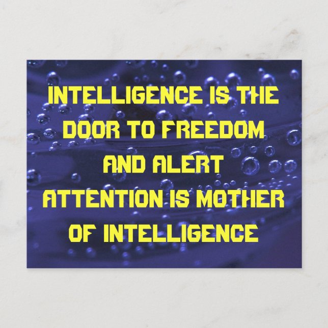 Geheimdienstpostkarte Postkarte (Vorderseite)