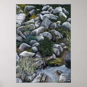 Geheime Lage im Wald Poster