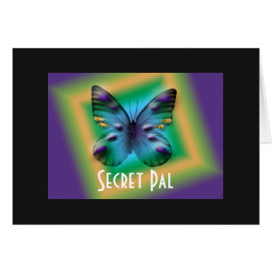 Geheimer Kumpel eingepackter Schmetterling