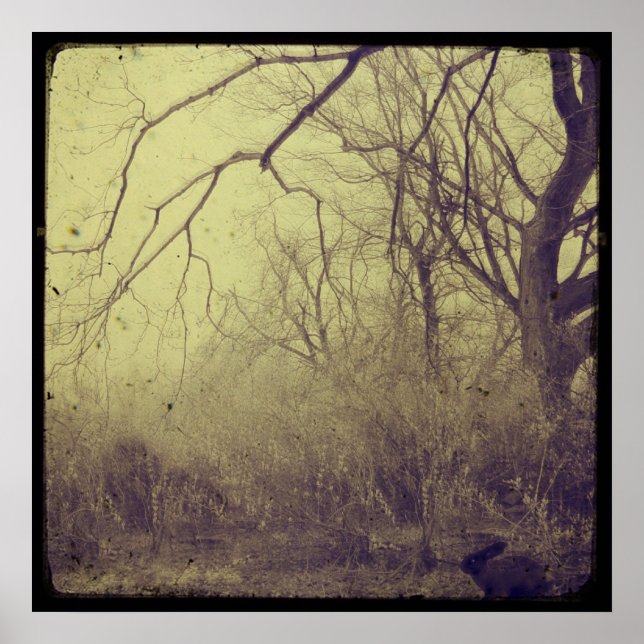 Geheimgarten Poster (Vorne)