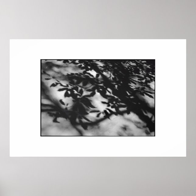 Geheimgarten Poster (Vorne)